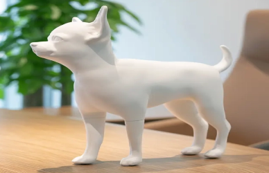 How Dog Mannequins for Grooming Help Professionals Perfect Their Skills How Dog Mannequins for Grooming Help Professionals Perfect Their Skills