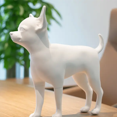 Why Do Pet Apparel Design And Presentation Require High-quality Dog models? Dlaczego projekt i prezentacja odzieży dla zwierząt domowych wymagają wysokiej jakości modeli psów?