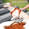 Sunraymascota Pet Supplies Dog Accessories Manufacturer Personalized Pet Harnesses Set Adjustable Custom Designer Dog Harness