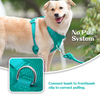 Sunraymascota New 2025 Dog Harness Manufacturers Anti Pull Padded Dog Harness Collar Leash Set Custom No Pull Dog Harness