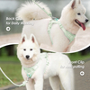 Sunraymascota Wholesale Soft Pet Dog Harness Pet Harness Adjustable Pet Dog Harness 