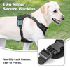 Sunraymascota New Pet Products Dog Harness Manufacturer Comfortable Premium Adjustable Air Mesh Dog Harness for Large Small Dog