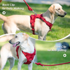 Sunraymascota 2025 Luxury Personalized Custom Logo Designers No Pull Neoprene Dog Harness luxury dog harness