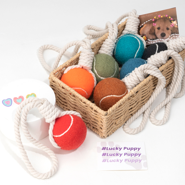 Sunraymascota 2025 New Arrival Clean Teeth Interactive Pet Tennis Ball Rbubber Chew Toy Dog Tug Toy Rope Dog Toy