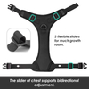 Sunraymascota New Arrival Neoprene Luxury Dog Harness and Leash Set No Pull Dog Harness Manufacturer Custom Dog Harness