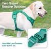 Sunraymascota New 2025 Dog Harness Manufacturers Anti Pull Padded Dog Harness Collar Leash Set Custom No Pull Dog Harness