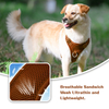 Sunraymascota Pet Product Manufacturer Comfortable Premium Pet Harness Vest Custom Dog Harness Wholesale Dog Harness