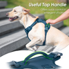 Sunraymascota ODM Customizable LOGO Adjustable Breathable Fashion Simple Neoprene Dog Harness 