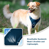 Sunraymascota Pet Product Manufacturer Comfortable Premium Dog Harness Vest Flurry Winter Dog Harness Custom Dog Harness