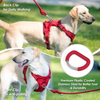 Sunraymascota 2025 Luxury Personalized Custom Logo Designers No Pull Neoprene Dog Harness luxury dog harness