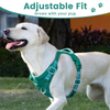 Sunraymascota Dog Harness Manufacturers Adjustable Oxford Dog Harness Reversible Dog Harness Set Luxury Design Custom Dog Harness