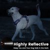 Sunraymascota Personalized OEM ODM Pet Harness Wholesale Custom Design Oxford Dog Harness