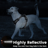 Sunraymascota Manufacturers Wholesale Dog Oxford Dog Harness Custom Dog Harness 