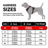 Sunraymascota New Dog Harness 2024 Manufacturers UK Designer Dog Harness and Leash Set Wholesale Personalised Harness for Dog
