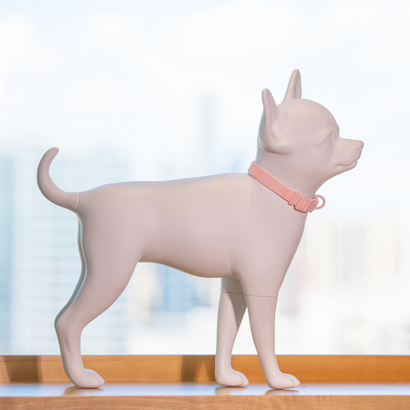 What Is A Dog Mannequin？