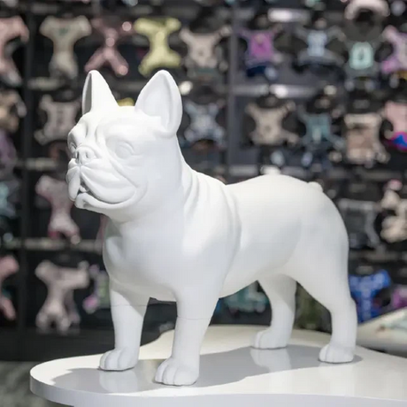 dog mannequin (2).png