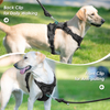 Sunraymascota New Arrival Neoprene Luxury Dog Harness and Leash Set No Pull Dog Harness Manufacturer Custom Dog Harness