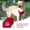 Sunraymascota New Dog Harness 2024 Manufacturers UK Designer Dog Harness and Leash Set Wholesale Personalised Harness for Dog