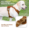 Sunraymascota Pet Product Manufacturer Comfortable Premium Pet Harness Vest Custom Dog Harness Wholesale Dog Harness