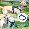 Sunraymascota ODM Customizable LOGO Adjustable Breathable Fashion Simple Neoprene Dog Harness 