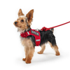 Sunraymascota Hot Convenient Breathable Small Dog Pet Harness and Leash Set Puppy Cat Vest Harness Collar for Chihuahua Pug Bulldog Cat