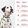 Sunraymascota Pet Collar Manufacturer Wholesale Nylon Strap Led Heavy Duty Dog Training Collar Tactical Dog Collar and Leash Set