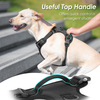 Sunraymascota New Arrival Neoprene Luxury Dog Harness and Leash Set No Pull Dog Harness Manufacturer Custom Dog Harness