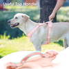 Sunraymascota OEM Breathable Mesh Adjustable Dog Harness Set Custom Colorful Metal Accessories Running Harness for Dogs