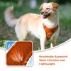 Sunraymascota Dog Harness Manufacturers Designer Custom Adjustable Dog Harness Set Pet Harness for Dog