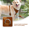 Sunraymascota Pet Product Manufacturer Comfortable Premium Pet Harness Vest Custom Dog Harness Wholesale Dog Harness