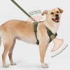 Sunraymascota New Dog Harness 2024 Manufacturers UK Designer Dog Harness and Leash Set Wholesale Personalised Harness for Dog