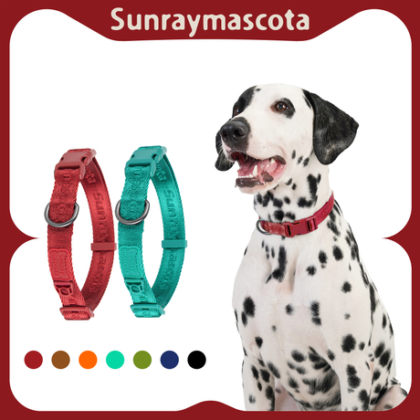 Sunraymascota Pet Collar Manufacturer Wholesale Nylon Strap Led Heavy Duty Dog Training Collar Tactical Dog Collar and Leash Set