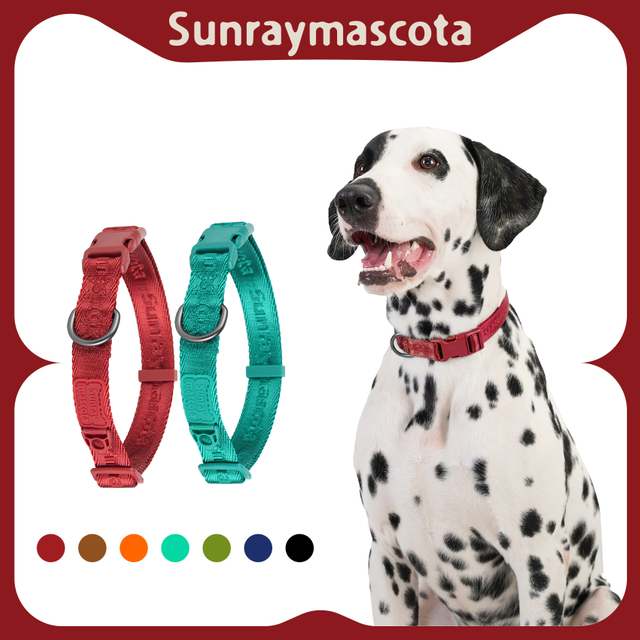 Sunraymascota Pet Collar Manufacturer Wholesale Nylon Strap Led Heavy Duty Dog Training Collar Tactical Dog Collar and Leash Set