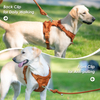 Sunraymascota Pet Supplies Dog Accessories Manufacturer Personalized Pet Harnesses Set Adjustable Custom Designer Dog Harness