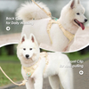 Sunraymascota 2025 New Design Manufacturers Luxury Personalized Custom Logo Soft Comfortable Adjustable Neoprene Pet Dog Harness