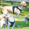 Sunraymascota ODM Customizable LOGO Adjustable Breathable Fashion Simple Neoprene Dog Harness 