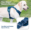 Sunraymascota Pet Product Manufacturer Comfortable Premium Dog Harness Vest Flurry Winter Dog Harness Custom Dog Harness