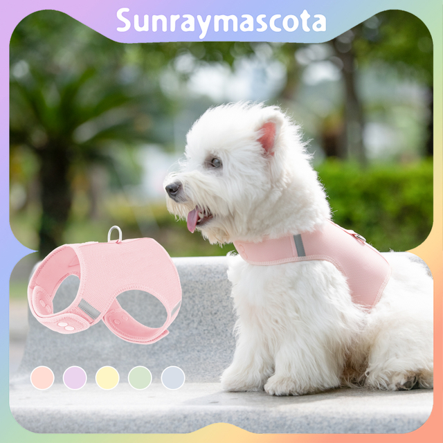 Sunraymascota New 2025 Pet Harness Manufacturers Wholesale Custom Design Small Dog Harness Set Winter Dog Harness