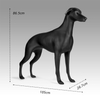 Sunray Mascota Matte Black Fiberglass Greyhound Dog Mannequin 