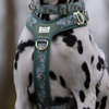 Sunraymascota Lightweight Custom Y Shaped Breathable Reflective Dog Harness CE Certified No Pull Quick-Release Buckles Adventure