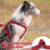 Sunraymascota New Arrival Neoprene Luxury Dog Harness And Leash Set No Pull Dog Harness Manufacturer Custom Dog Harness
