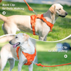 Sunraymascota Personalized Luxury Design Custom Comfortable Premium Adjustable Pet Harness Manufacturer Dog Harness Set