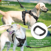 Sunraymascota New Arrival Neoprene Luxury Dog Harness and Leash Set No Pull Dog Harness Manufacturer Custom Dog Harness