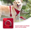 Sunraymascota New Dog Harness 2024 Manufacturers UK Designer Dog Harness and Leash Set Wholesale Personalised Harness for Dog