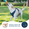 Sunraymascota ODM Customizable LOGO Adjustable Breathable Fashion Simple Neoprene Dog Harness 