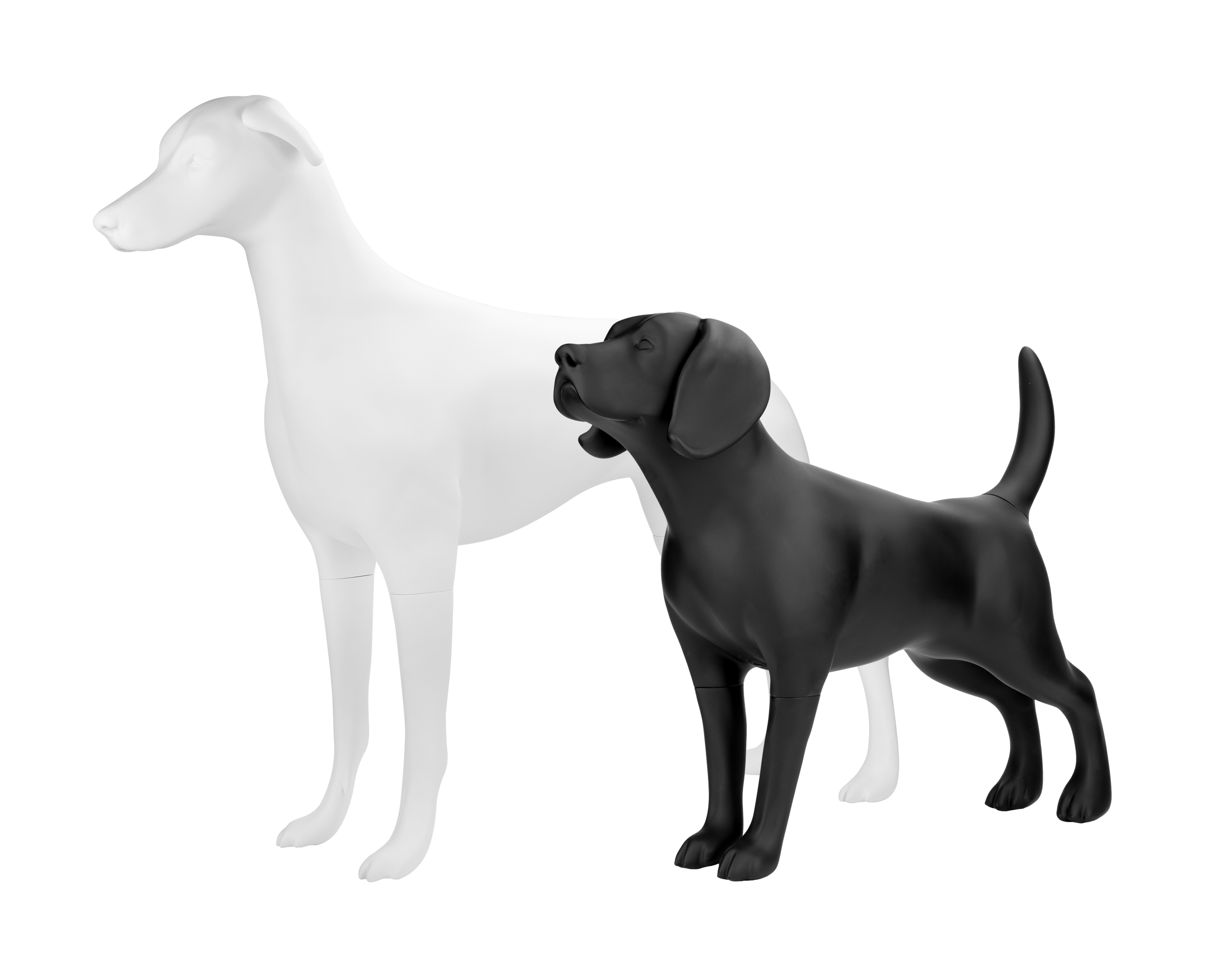 Using Dog Mannequins for Medical Equipment and Scientific Prop Demonstrations