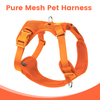 Sunraymascota New Pet Products Dog Harness Manufacturer Comfortable Premium Step in Adjustable Dog Harness for Large Small Dog