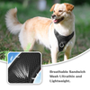 Sunraymascota New Pet Products Dog Harness Manufacturer Comfortable Premium Adjustable Air Mesh Dog Harness for Large Small Dog