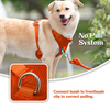 Sunraymascota Dog Harness Manufacturers Designer Custom Adjustable Dog Harness Set Pet Harness for Dog