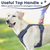 Sunraymascota Personalized OEM ODM Pet Harness Wholesale Custom Design Oxford Dog Harness